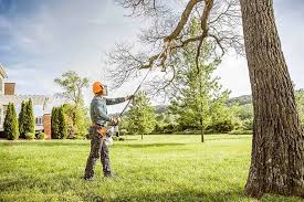 Best Hazardous Tree Removal  in Adelino, NM